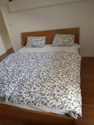 Main Street Apartament *